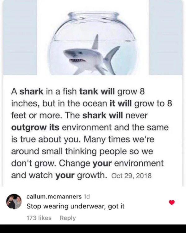 funny pics and memes - water - A shark in a fish tank will grow 8 inches, but in the ocean it will grow to 8 feet or more. The shark will never outgrow its environment and the same is true about you. Many times we're around small thinking people so we don