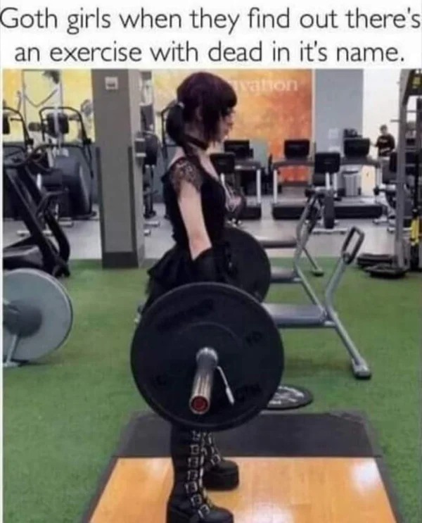 funny pics and memes - gym - Goth girls when they find out there's an exercise with dead in it's name. vation D