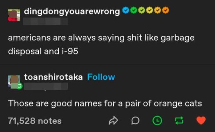 funny comments - light - dingdongyouarewrong americans are always saying shit garbage disposal and i95 toanshirotaka Those are good names for a pair of orange cats 71,528 notes