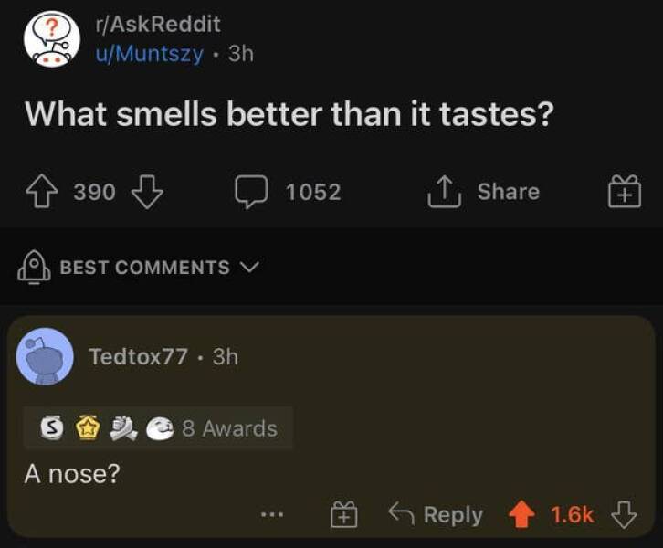 funny comments - what's your darkest desire - rAskReddit uMuntszy. 3h What smells better than it tastes? 390 Best S Tedtox77. 3h A nose? 8 Awards Ree 1052