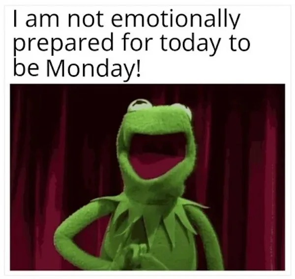 funny memes - photo caption - I am not emotionally prepared for today to be Monday!