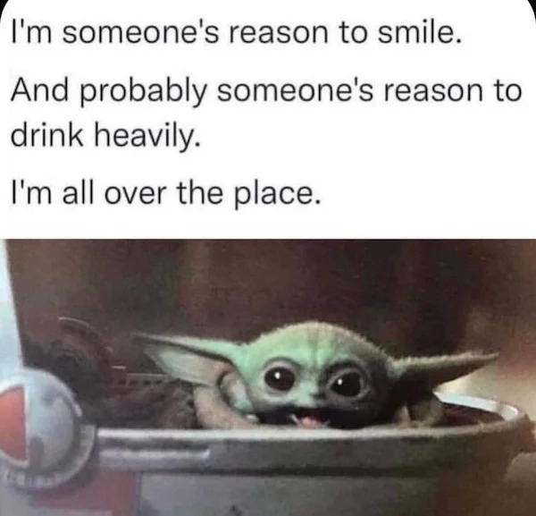 funny memes - fauna - I'm someone's reason to smile. And probably someone's reason to drink heavily. I'm all over the place.