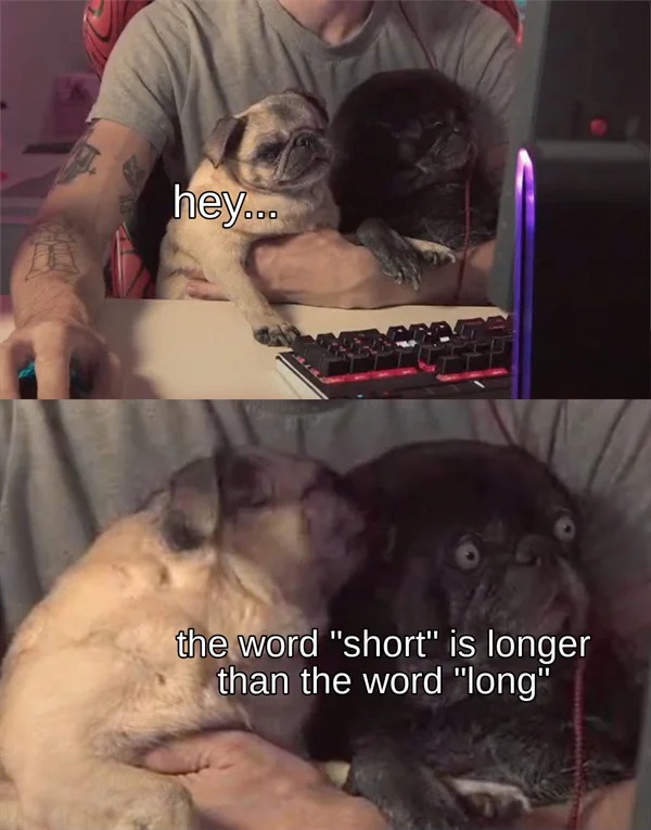 funny memes - word short is longer than the word long - hey... the word