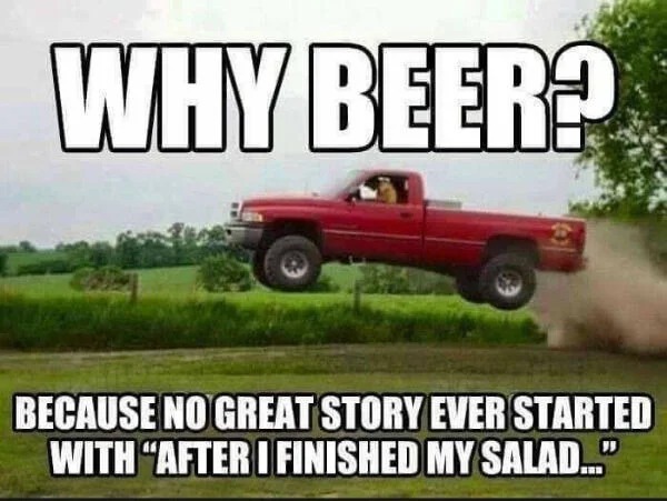funny memes - campo de deportes instituto cultural roca - Why Beer? Because No Great Story Ever Started With