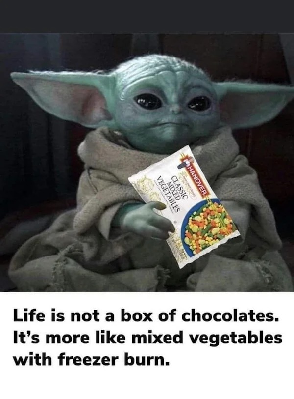 funny memes - Funny meme - Vegetables Mixed Classic 2444 201 Car Hanover Life is not a box of chocolates. It's more mixed vegetables with freezer burn.