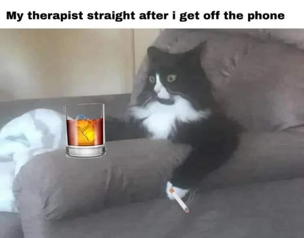 funny memes - photo caption - My therapist straight after i get off the phone Glo