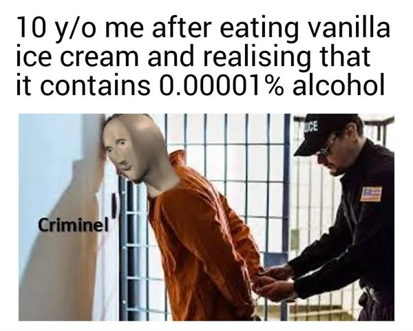 funny memes - shoulder - 10 yo me after eating vanilla ice cream and realising that it contains 0.00001% alcohol Criminel