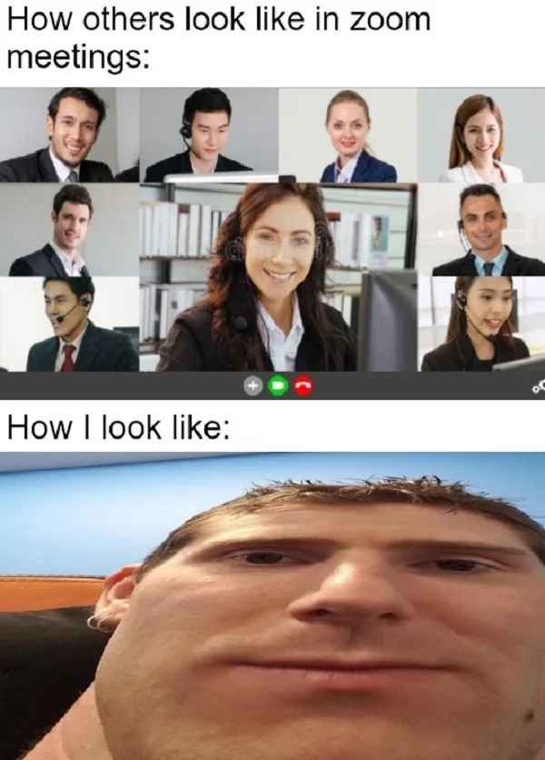 funny memes - wide linus - How others look in zoom meetings How I look