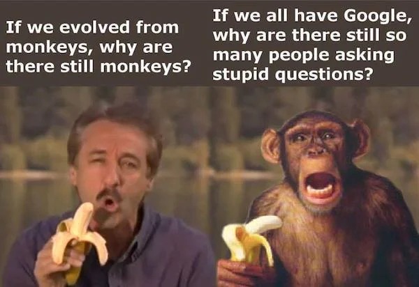 funny memes - photo caption - If we evolved from monkeys, why are there still monkeys? If we all have Google, why are there still so stupid questions? many people asking