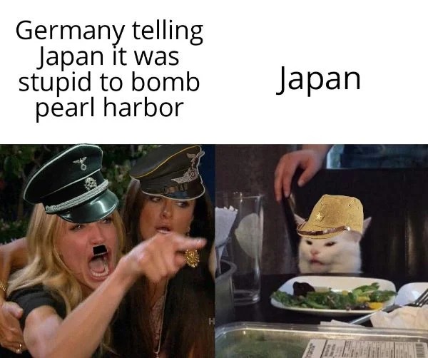 funny memes - Funny meme - Germany telling Japan it was stupid to bomb pearl harbor Japan