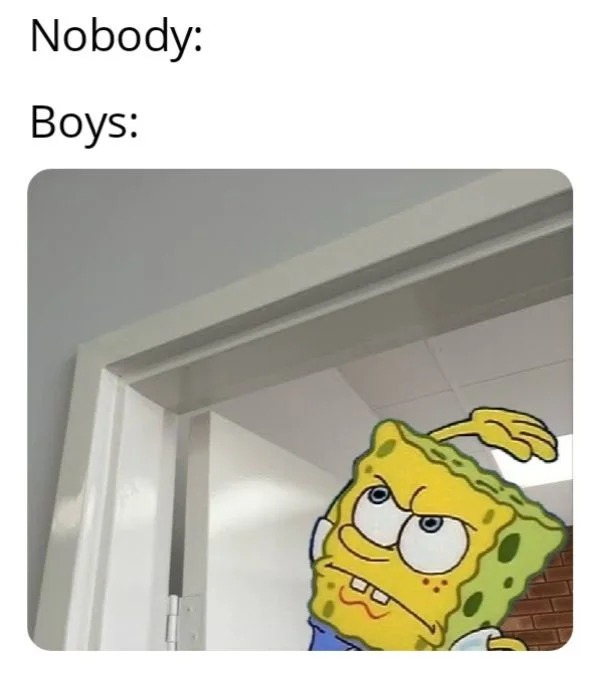 funny memes - bop meme - Nobody Boys 3