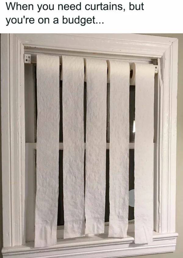 meme for broke folk - toilet roll blinds - When you need curtains, but you're on a budget...