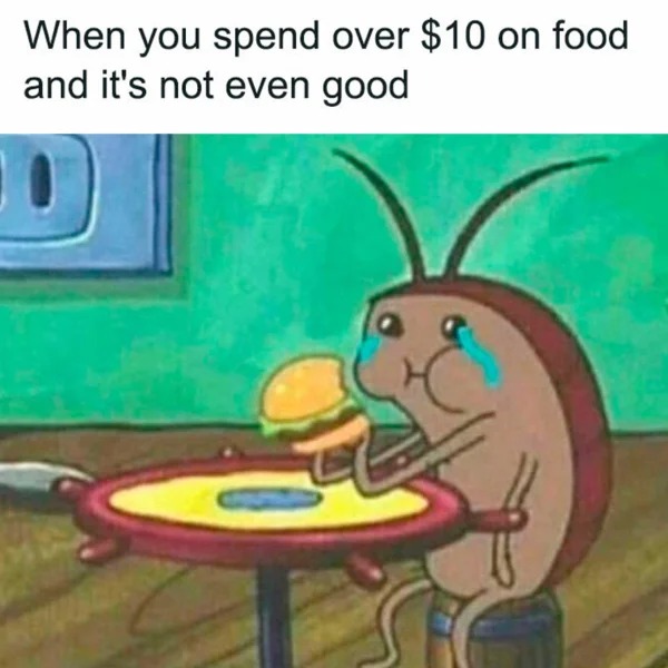 meme for broke folk - cartoon - When you spend over $10 on food and it's not even good