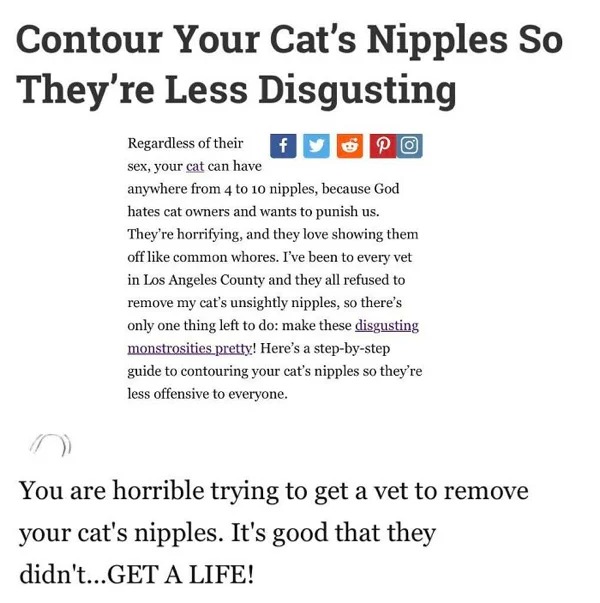 people who missed the joke - document - Contour Your Cat's Nipples So They're Less Disgusting f Regardless of their sex, your cat can have anywhere from 4 to 10 nipples, because God hates cat owners and wants to punish us. They're horrifying, and they lov