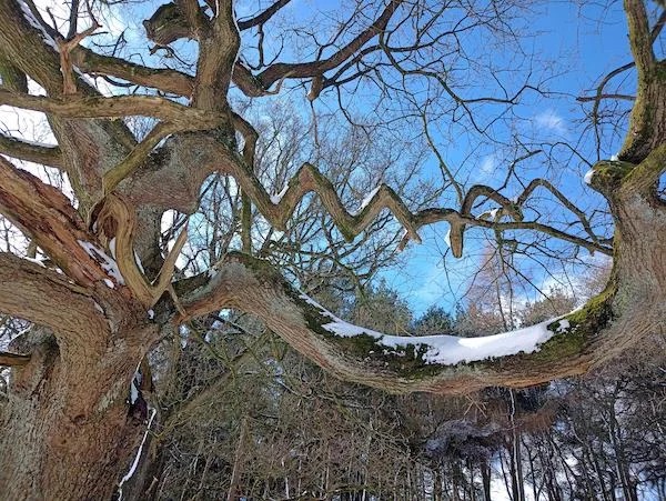 38 Things You Just Don't See Every Day.