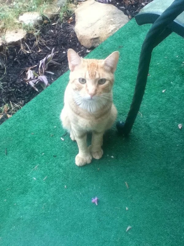 38 Things You Just Don't See Every Day.