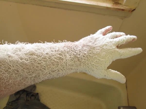 38 Things You Just Don't See Every Day.