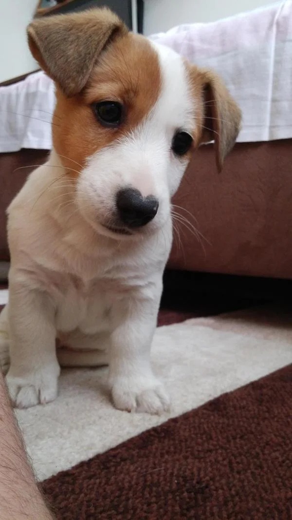 38 Things You Just Don't See Every Day.