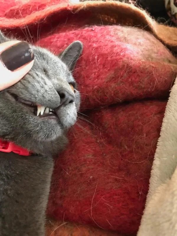 38 Things You Just Don't See Every Day.