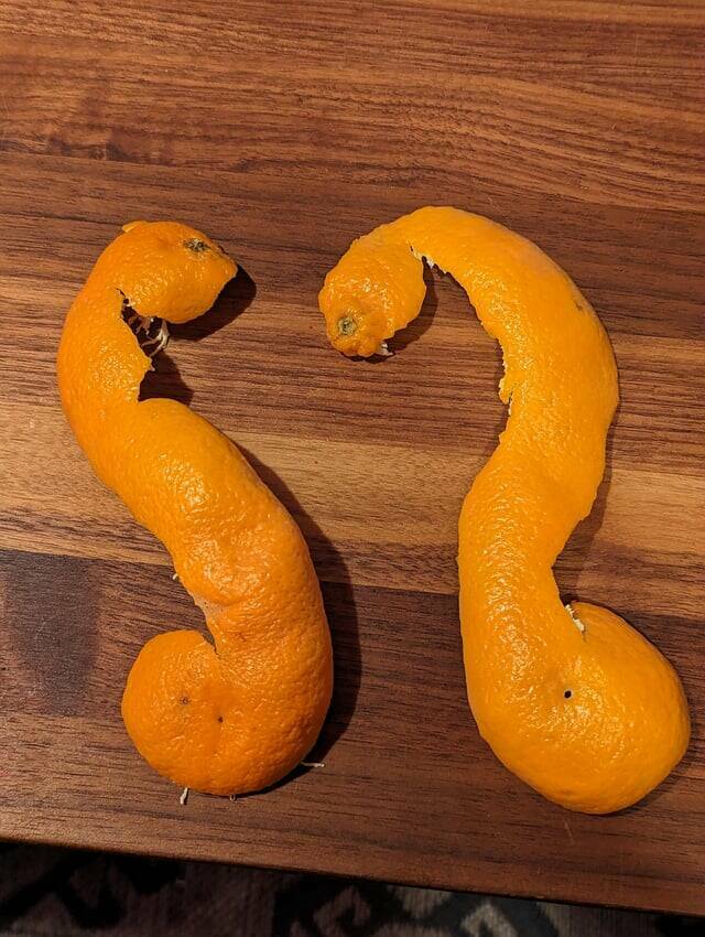 38 Things You Just Don't See Every Day.