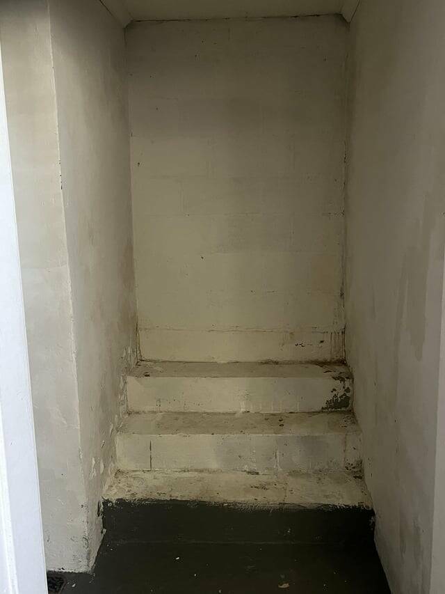 38 Things You Just Don't See Every Day.