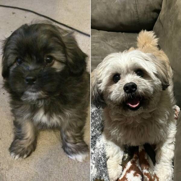 38 Things You Just Don't See Every Day.