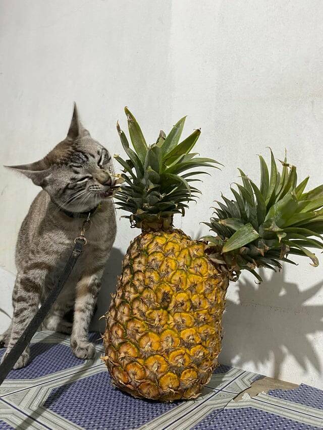 38 Things You Just Don't See Every Day.