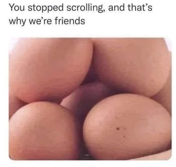 spicy memes - you stopped scrolling and that's why we re friends - You stopped scrolling, and that's why we're friends