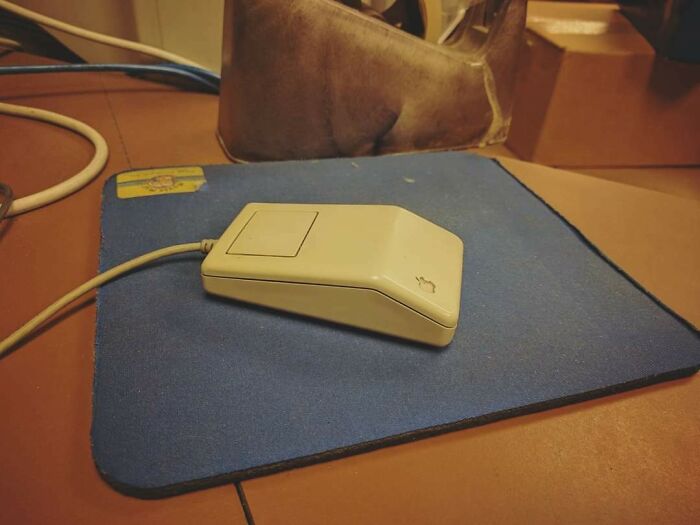 Coworker Said She Would Only Accept An Official Apple Mouse So I Dug This Out Of Storage And Left It On Her Desk