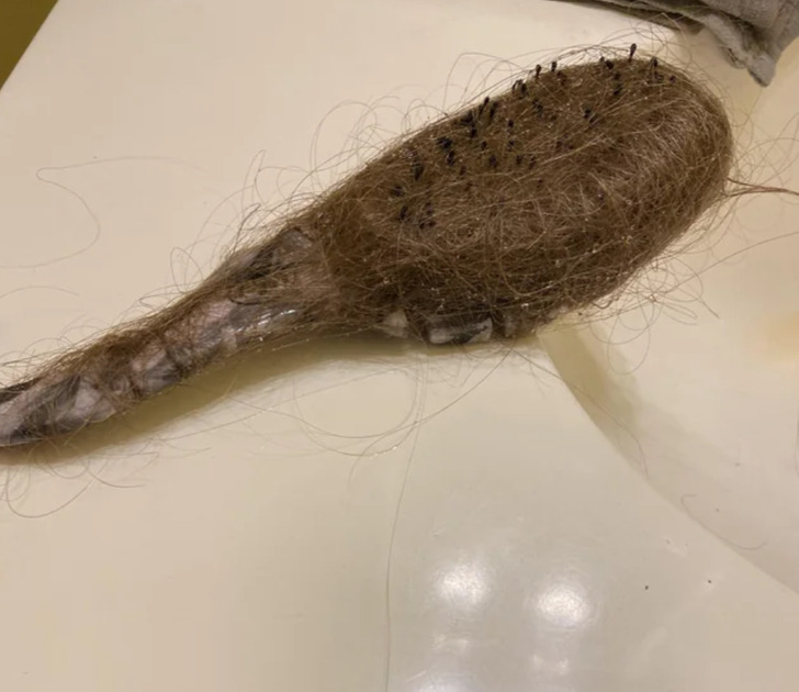 “The hairbrush my daughter leaves hanging in the shower”