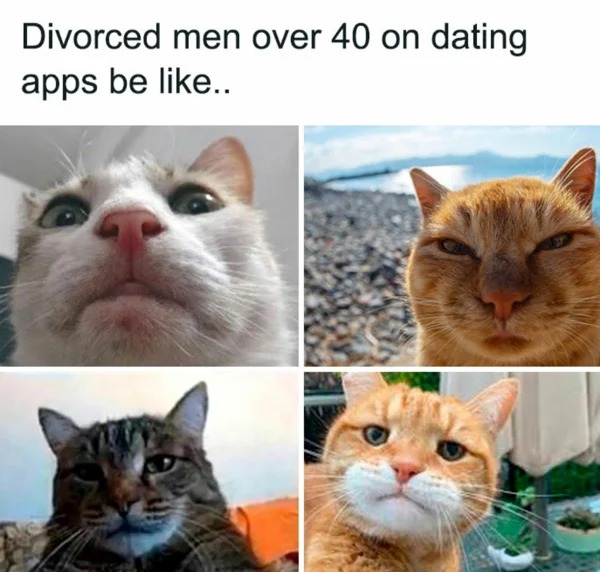 30 year old memes - millennials memes - Divorced men over 40 on dating apps be ..