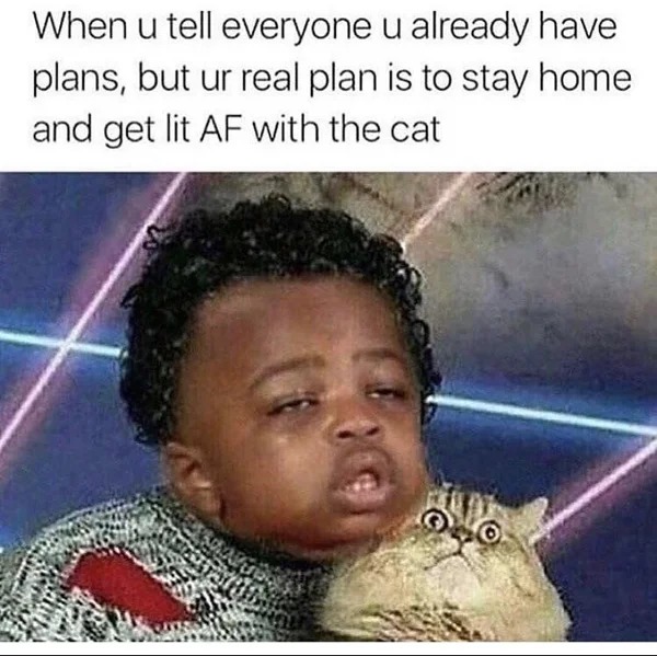 30 year old memes - head - When u tell everyone u already have plans, but ur real plan is to stay home and get lit Af with the cat