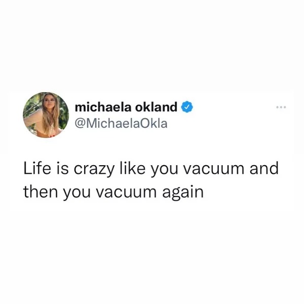 30 year old memes - michaela okland Life is crazy you vacuum and then you vacuum again