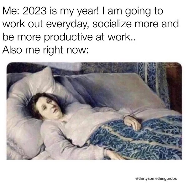 30 year old memes - sleep - Me 2023 is my year! I am going to work out everyday, socialize more and be more productive at work.. Also me right now