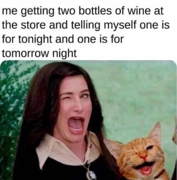 30 year old memes - - - me getting two bottles of wine at the store and telling myself one is for tonight and one is for tomorrow night
