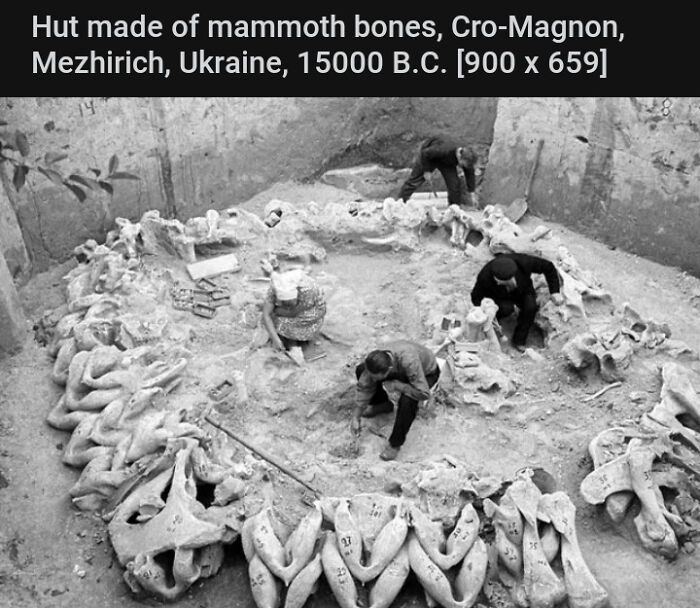 prehistoric pics fossils and bones - 1965 ukraine mammoth huts - Hut made of mammoth bones, CroMagnon, Mezhirich, Ukraine, 15000 B.C. 900 x 659 83 x