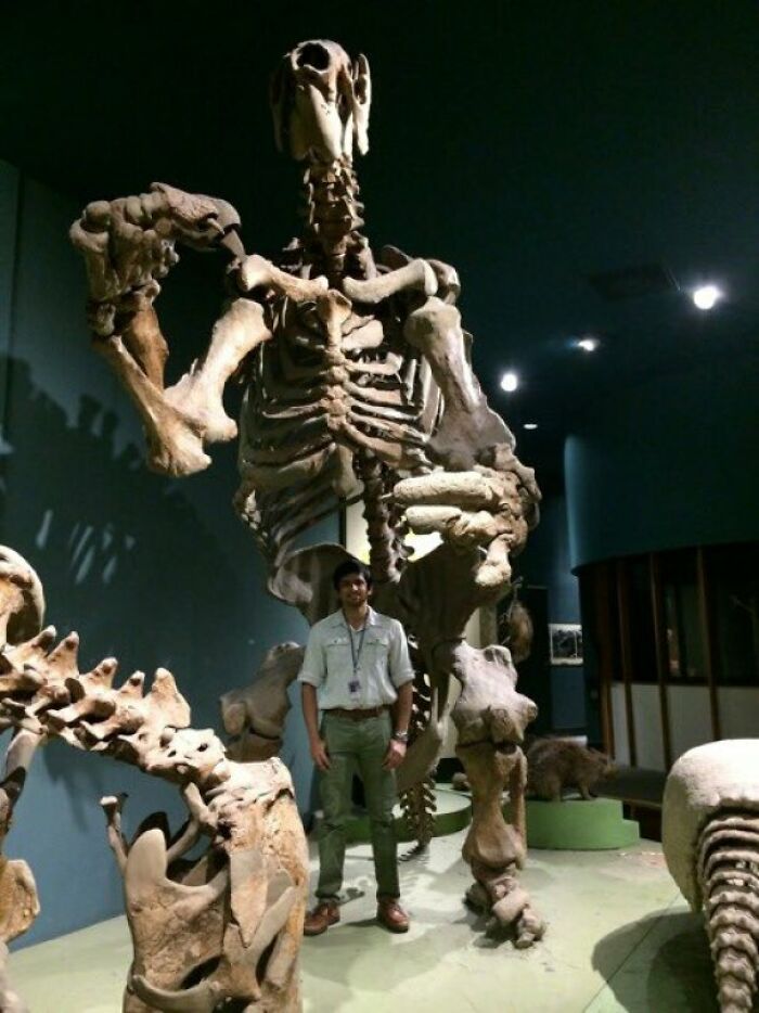 prehistoric pics fossils and bones - national mall