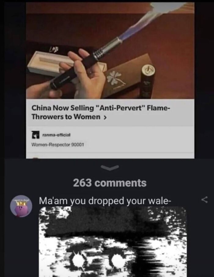 anti pervert flamethrower meme - China Now Selling "AntiPervert" Flame Throwers to Women > ranmaofficial WomenRespector 90001 263 Ma'am you dropped your wale