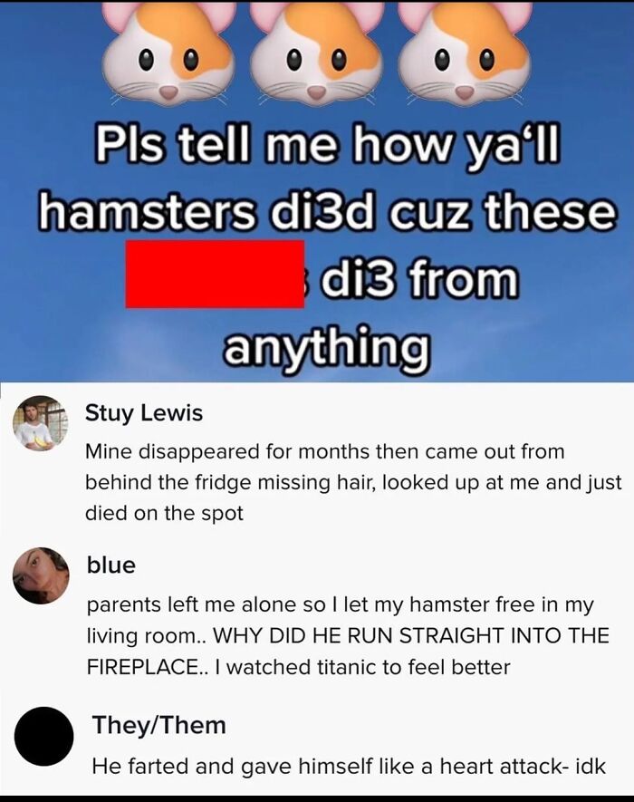 hamster death stories - 888 Pls tell me how ya'll hamsters  just died on the spot blue parents left me alone so I
