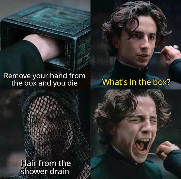 sunday funday memes -  remove your hand from the box and you die - Remove your hand from the box and you die Hair from the shower drain What's in the box?