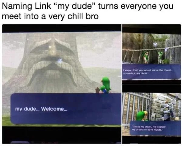sunday funday memes -  zelda my dude meme - Naming Link "my dude" turns everyone you meet into a very chill bro my dude... Welcome... 1 knew that you would leave the forest. someday, my dude.. "This is my orders to save y