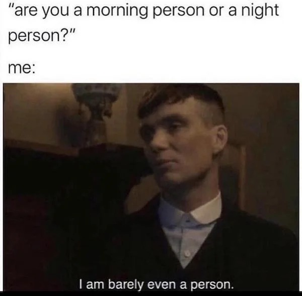 sunday funday memes -  photo caption - "are you a morning person or a night person?" me I am barely even a person.