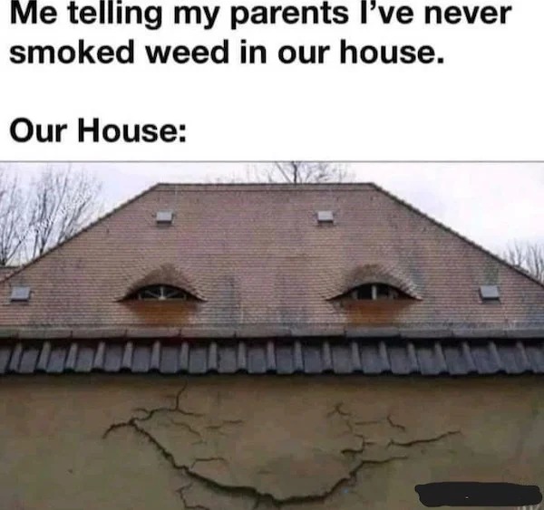 sunday funday memes -  weed house meme - Me telling my parents I've never smoked weed in our house. Our House