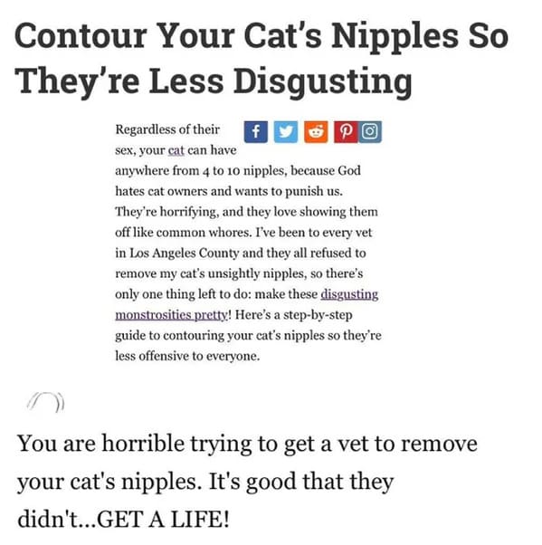 people who missed the joke - paper - Contour Your Cat's Nipples So They're Less Disgusting Regardless of their sex, your cat can have f anywhere from 4 to 10 nipples, because God hates cat owners and wants to punish us. They're horrifying, and they love s