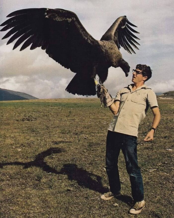 cool and fascinating photos  --  largest flying bird in the world