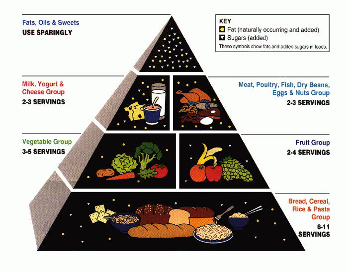 popular beliefs proven wrong - food pyramid wrong - Fats, Oils & Sweets Use Sparingly Milk, Yogurt & Cheese Group 23 Servings Vegetable Group 35 Servings Key Fat naturally occurring and added Sugars added These symbols show fats and added sugars in foods.