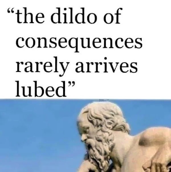 spicy memes - dildo of consequences often comes unlubed - "the dildo of consequences rarely arrives lubed"