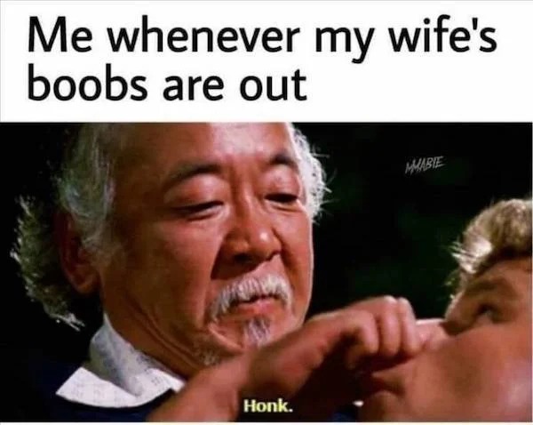 spicy memes - photo caption - Me whenever my wife's boobs are out Honk. Mmabie