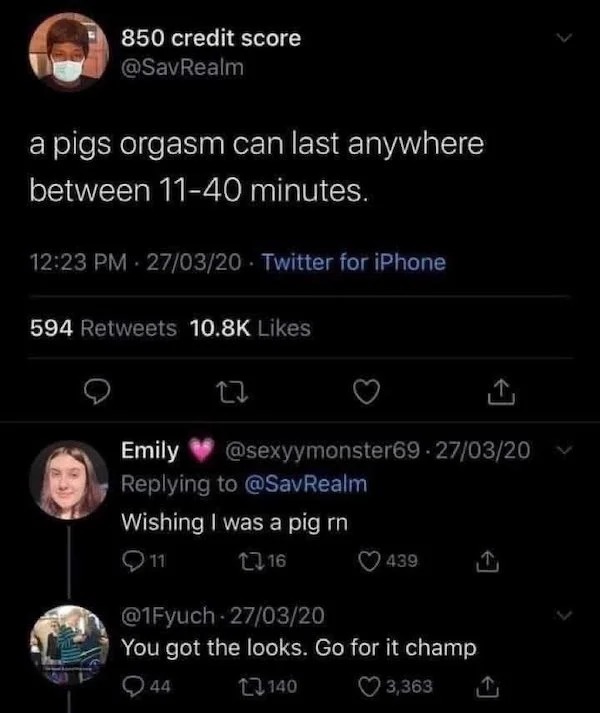spicy memes - wishing i was a pig rn - 850 credit score a pigs orgasm can last anywhere between 1140 minutes. 270320 Twitter for iPhone 594 27 Emily Wishing I was a pig rn 911 16 0320 439 0320 You got the looks. Go for it champ 44 140 3,363