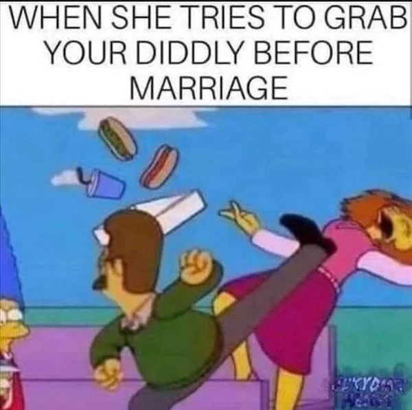 spicy memes - ned flanders kick meme - When She Tries To Grab Your Diddly Before Marriage Sexydo